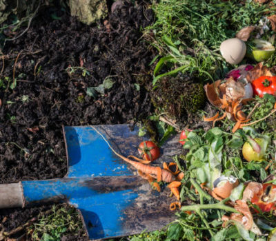 Read more about So, what is compost?