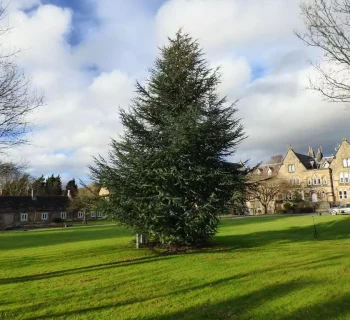 Sherburn-House-grounds