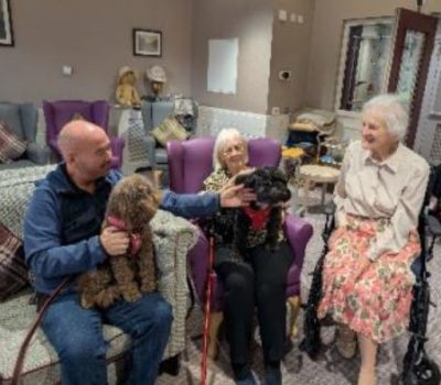 Read more about November round up of activities